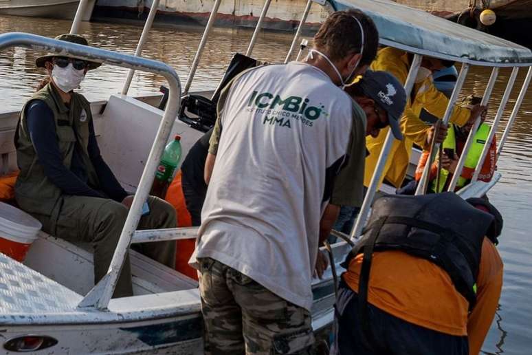 Outras equipes, do ICMBio, percorrem os lagos para averiguar condições dos botos vivos
