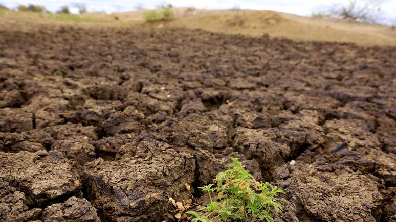 Terra rachada em barragem seca devido à estiagem no sertão baiano 