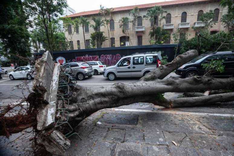 Temporal na quarta-feira derrubou árvore na Rua São Carlos do Pinhal