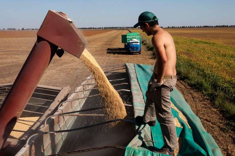 Agricultura tem grande peso nas exportações da Argentina