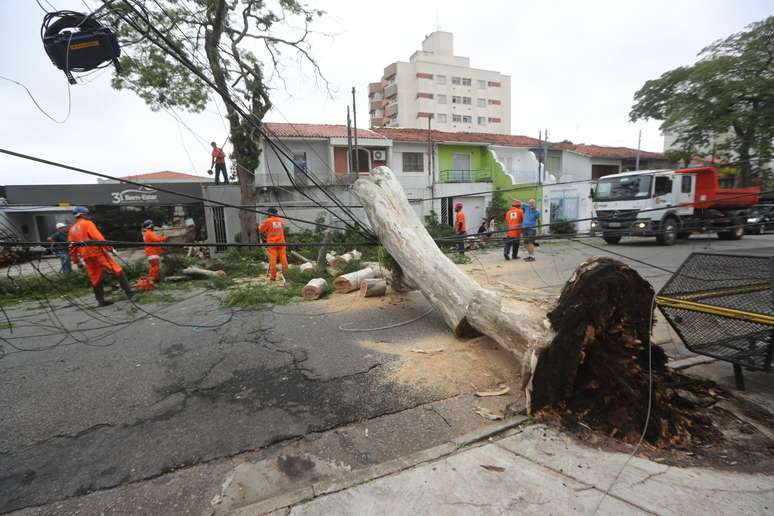 Funcionários da prefeitura e da Enel, trabalham na retirada de uma árvore de grande porte que caiu sobre fios e interrompeu energia elétrica, devido a chuva de ontem na Rua Dom Armando Lombardi, Vila Progredior, na região da Capela do Socorro, Zona Sul de São Paulo, na manhã deste domingo, 19