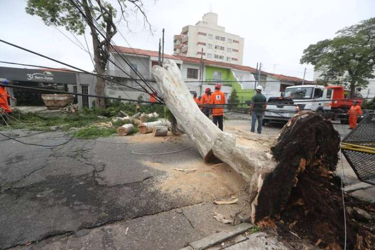 Na região sul de São Paulo, na Rua Dom Armando Lombardi, uma árvore grande caiu, derrubando a fiação elétrica e ocupando toda a via na noite de sábado, 18.
