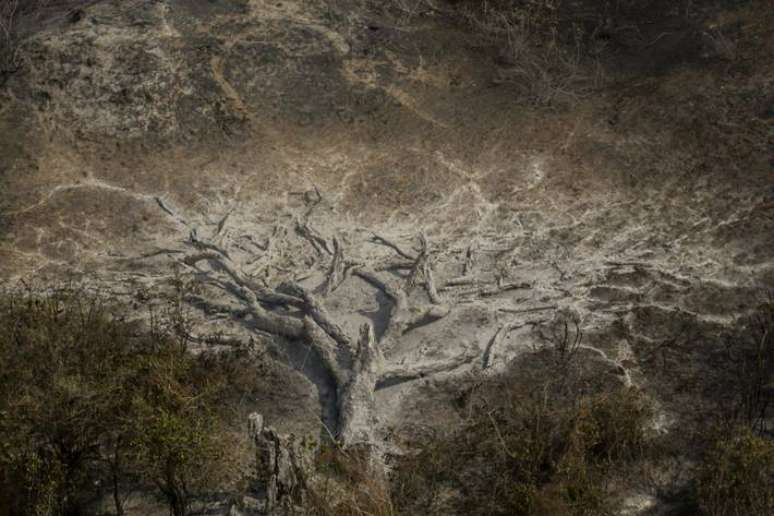Em Porto Jofre (MT), no Pantanal, queimadas deixam rastro de destruição