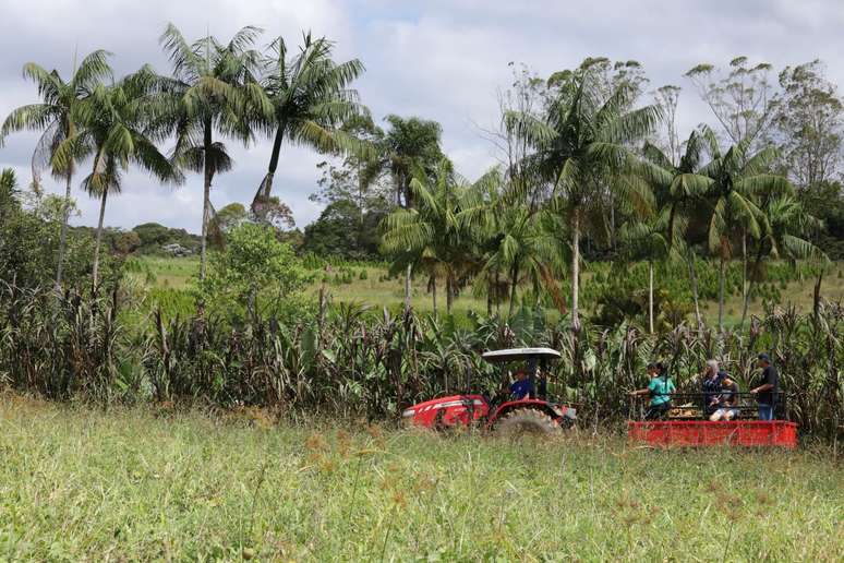 Tractor rides are an unusual attraction in the capital of Sao Paulo;  know how to do it