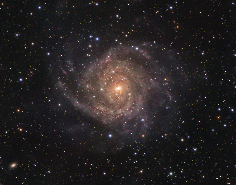 Galáxia IC 342, que parece ser avermelhada devido à dispersão da sua luz em partículas de poeira (Imagem: Reprodução/Steve Cannistra)