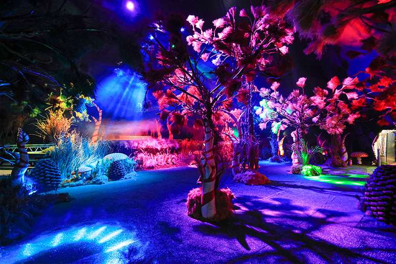 Um dos cenários remete a uma floresta encantada