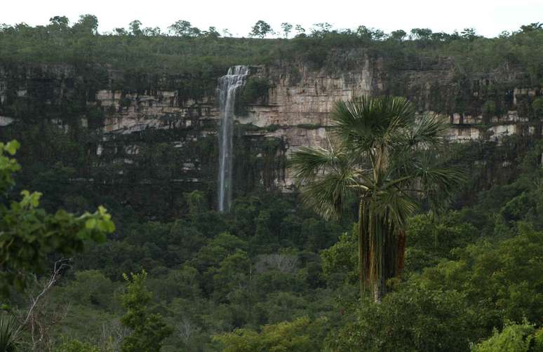 Cachoeira Bailarina 