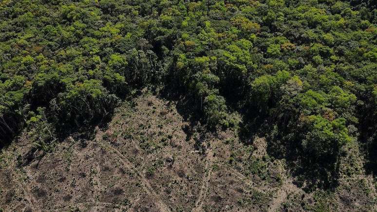 Estudo de Oxford projeta que Brasil vai desmatar 64 milhões de hectares até 2050