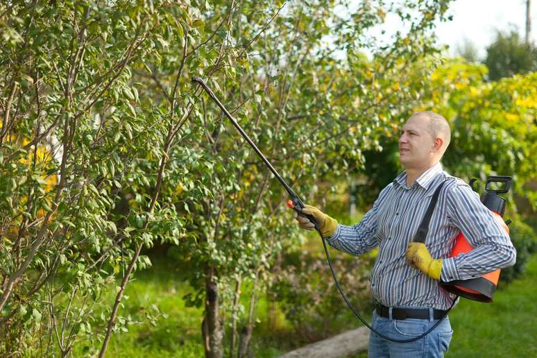 Uso de inseticidas pode reduzir a concentração de espermatozoides em homens (Imagem: Bearfotos/Freepik)