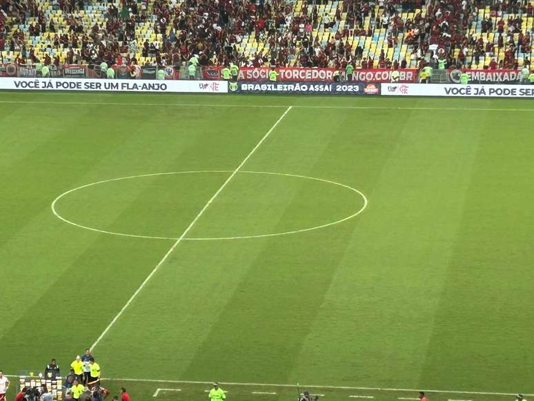 Gramado do Maracan&atilde; 