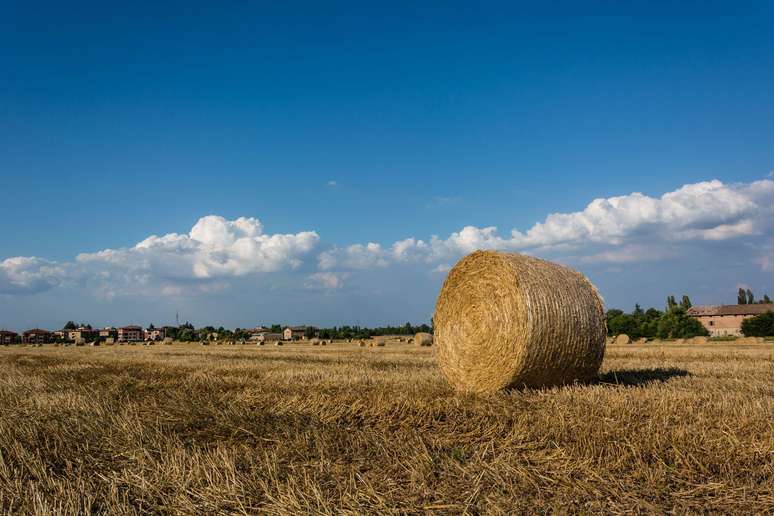 Do ponto de vista econ&ocirc;mico, acredita-se que o hor&aacute;rio de ver&atilde;o seja favor&aacute;vel para os comerciantes e esportistas, mas prejudique os produtores agr&iacute;colas.