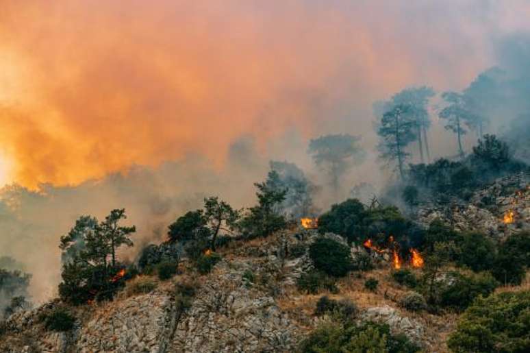 (Fonte: Getty Images)