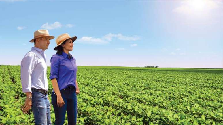 Últimos anos registraram crescimento na procura por seguros agrícolas no Brasil. Divulgação/Lavoro