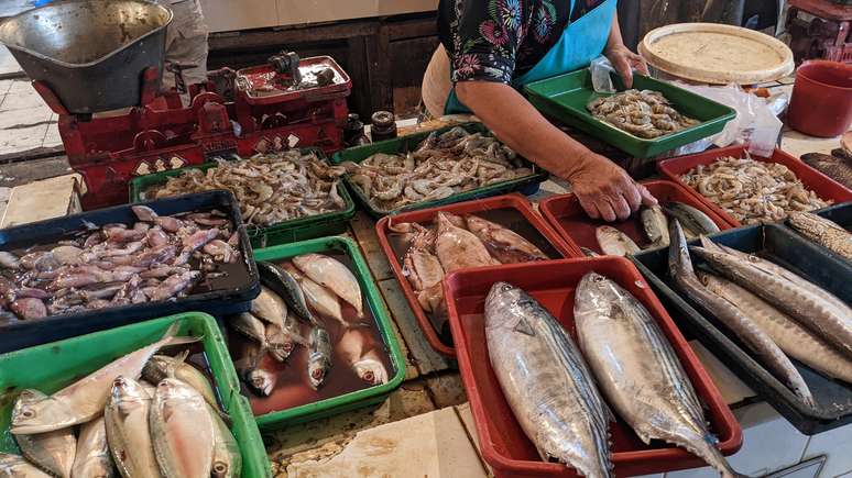 Varejistas de peixe, carnes e comércios em geral podem ter convenções sobre trabalho aos feriados alteradas no ano que vem 