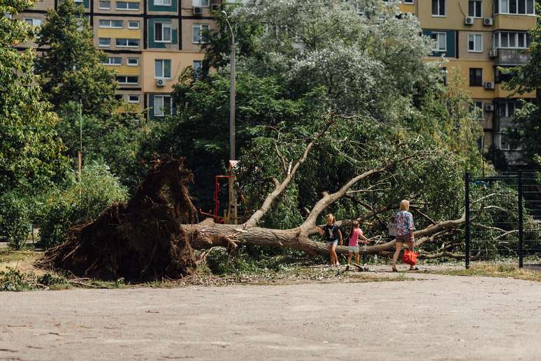 Fortes chuvas e rajadas de vento derrubaram árvores em Dnipro, na Ucrânia