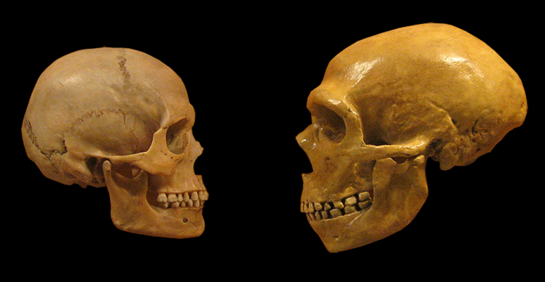Os neandertais tinham capacidade de ouvir sons da mesma frequência que a fala dos Homo sapiens, e usavam muitas consoantes na sua comunicação (Imagem: hairymuseummatt/DrMikeBaxter/CC-BY-S.A-4.0)