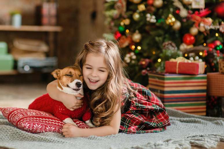 Brincar com os cachorros alivia o estresse causado pelas festas de fim de ano 