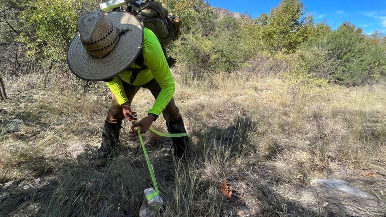 Alberto Ortega deixa fitas fluorescentes nos locais onde encontra ossos para facilitar a localiza&ccedil;&atilde;o das autoridades.