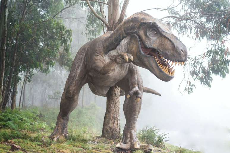 Os dinossauros foram responsáveis por encurtar a vida dos primeiros mamíferos e, consequentemente, dos humanos (Imagem: Fausto García-Menéndez/Unsplash)