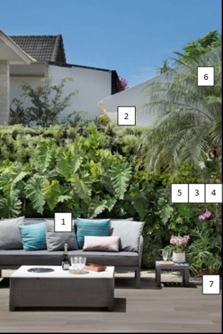 1. Filodendro wilsonii / 2- Aspargo / 3- Peper&ocirc;mia / 4- D&oacute;lar / 5- Filodendro gold / 6- Palmeira-f&ecirc;nix / 7- Guaimb&ecirc;.