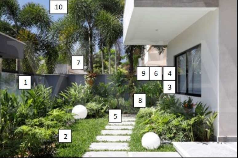 1- Alpinia purpurata rosa e vermelha / 2- Guaimb&ecirc; / 3 - Helic&ocirc;nia psittacorum / 4 - Helic&ocirc;nia Golden torch / 5 - Filodendro glorioso / 6 - Orqu&iacute;dea bamb&uacute;. Nos estipes das Palmeiras: 7 - Brom&eacute;lias fireball / 8 - Chifre de veado/ 9 - mini orqu&iacute;deas Phalaenopsis / 10 - Palmeira Rabo-de-raposa.