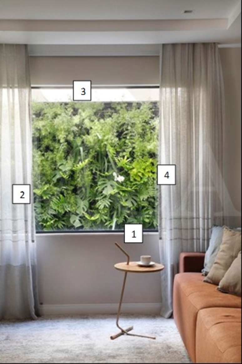 1. Costela de ad&atilde;o / 2- Samambaia Jamaica / 3- Aspargo / 4- Jiboia-lim&atilde;o