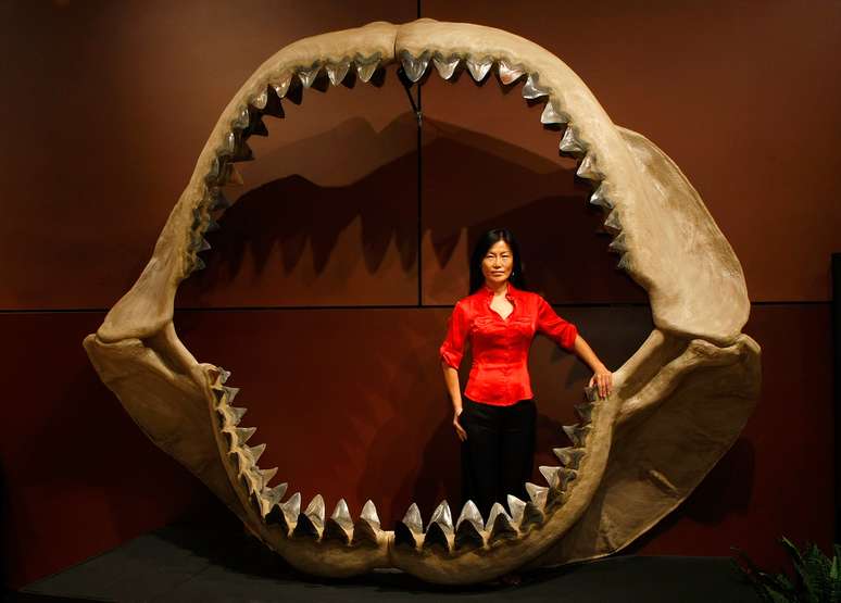 A mandíbula de um Carcharocles megalodon exposta em Las Vegas. 