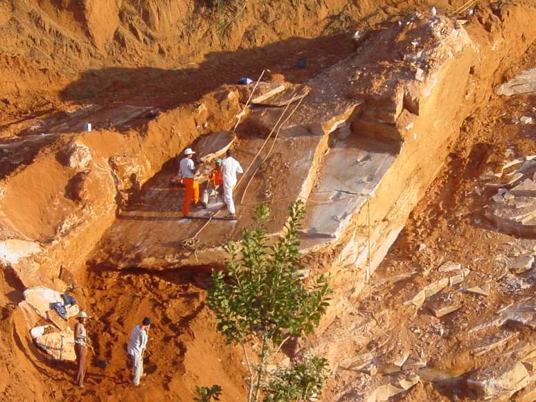 As pegadas fósseis foram descobertas em pedras de arenito, usadas na construção de calçadas em Araraquara.