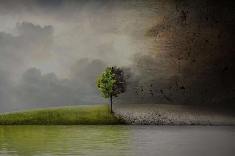 Os documentários sobre desastres ambientais enfatizam os problemas enfrentados pelo planeta