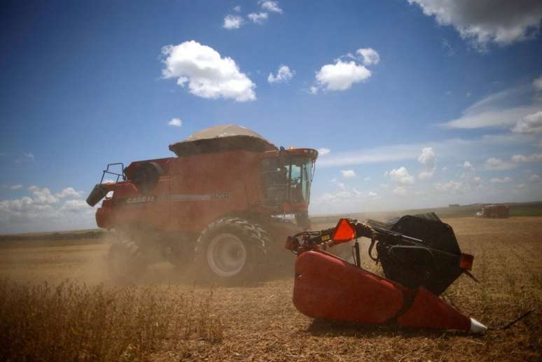 Campo de soja em Luziânia, no estado de Goiás
09/02/2023
REUTERS/Adriano Machado