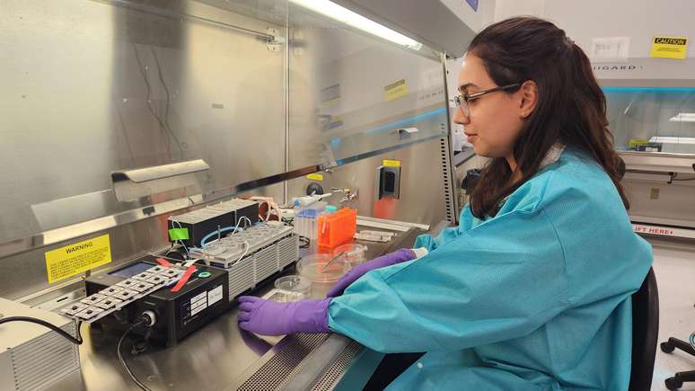 A cientista brasileira Livia Luz monta o experimento enviado pela Nasa