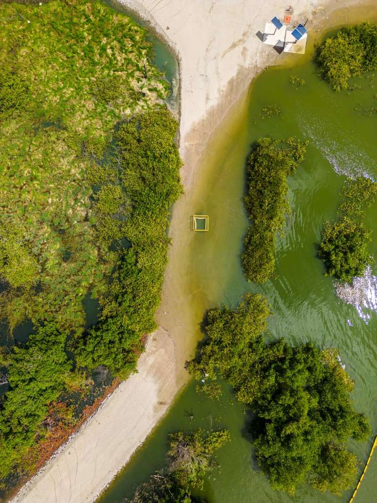 Afundamento do solo na área de mina em Maceió passa a 1,99 m; lagoa avança em área