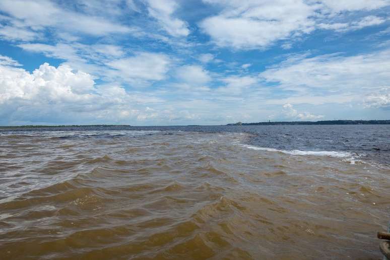 Estratégias para impedir a emissão de carbono na Amazõnia são fundamentais (Imagem: Hannai hai/Pixabay)