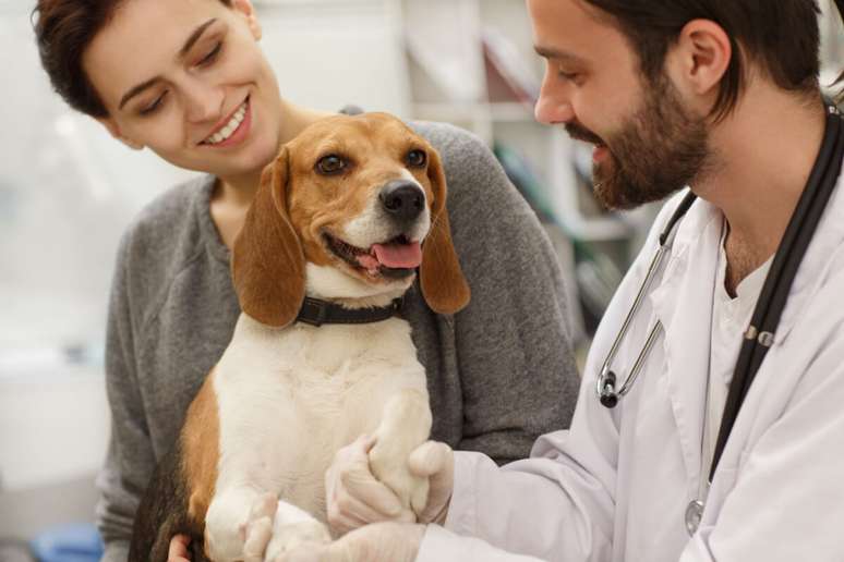 To ensure the safety of your pet and others while traveling, certain vaccinations are required for entry into certain areas or countries. 