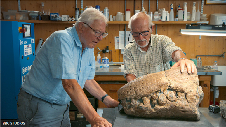 Steve Etches mostra crânio de dinossauro a David Attenborough, apresentador da BBC — esta é a primeira peça a ser encontrada