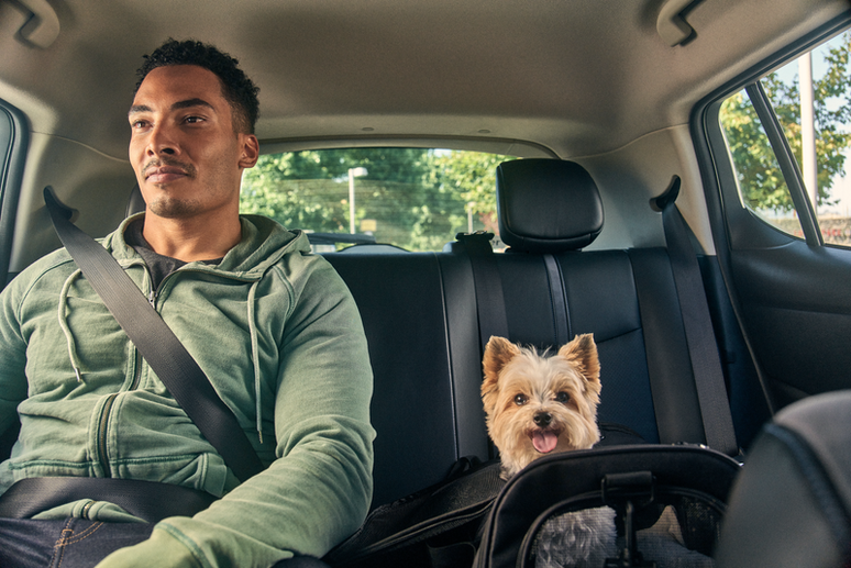 Nova modalidade do aplicativo Uber permitirá o transporte de pets