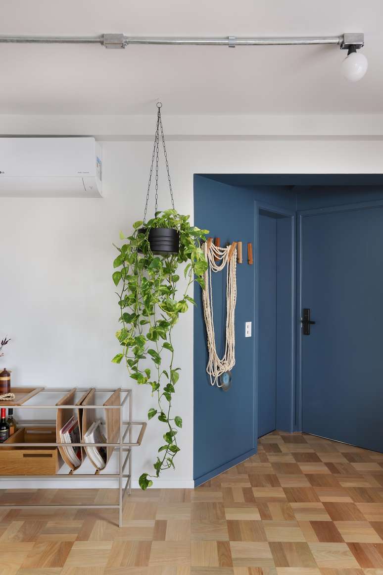 Which plant is best for gifts?