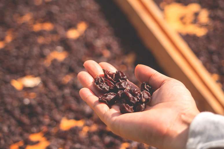 Raisins are rich in fiber and antioxidant vitamins Raisins are rich in fiber and antioxidant vitamins