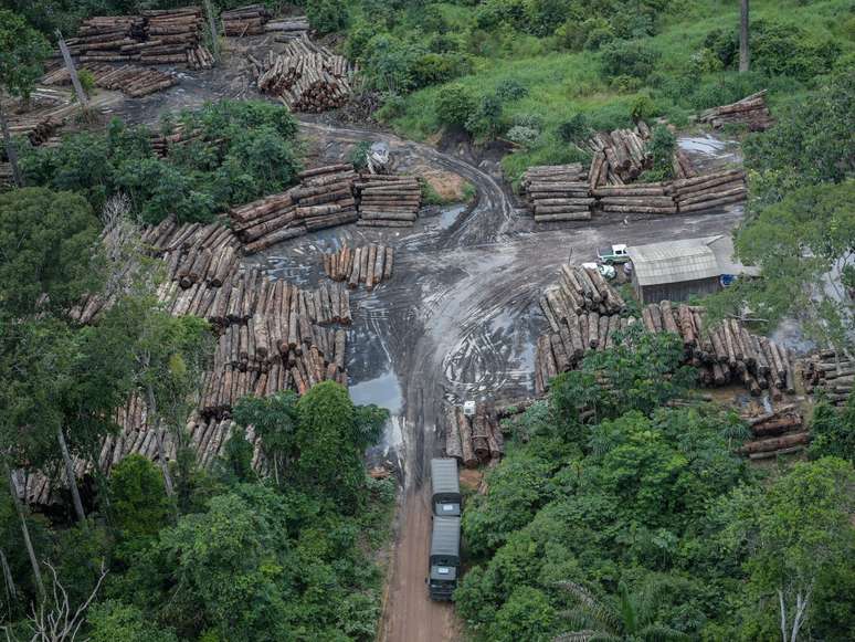 Imagem mostra o desmatamento ilegal na Terra Indígena Pirititi, em Roraima