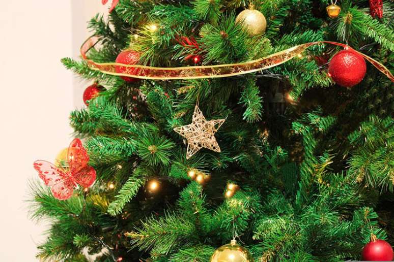 Veterinários alertam que as agulhas dos pinheiros das árvores de Natal podem ser perigosas para os gatos