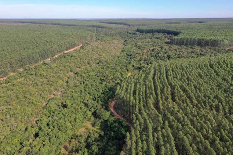 Empresa busca reduzir o consumo de água, utiliza energia própria, diminui o impacto ambiental e aumenta as áreas de conservação