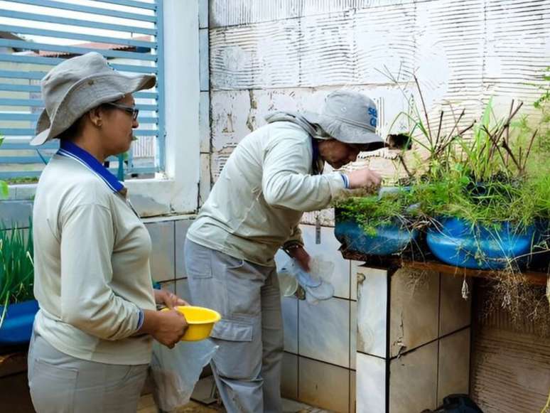 Imagem mostra duas agentes públicas durante ações para combater a dengue.