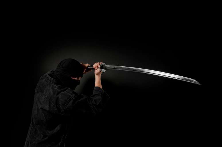 Devido à sua furtividade e capacidade de se infiltrar no território inimigo, os hashashin são comparados aos ninjas japoneses