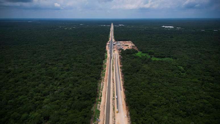 Construção de parte do traçado da ferrovia em meio à floresta foi duramente criticada por seu impacto ambiental