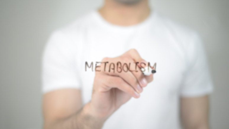 Metabolismo Descubra 7 informações importantes