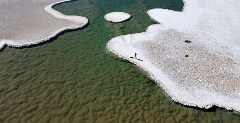 Estromatólitos no fundo de uma lagoa na Puna de Atacama, na Argentina