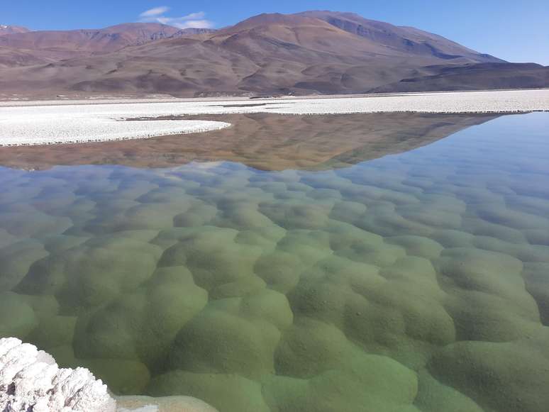 A Puna do Atacama está localizada perto da fronteira que separa Argentina, Chile e Bolívia