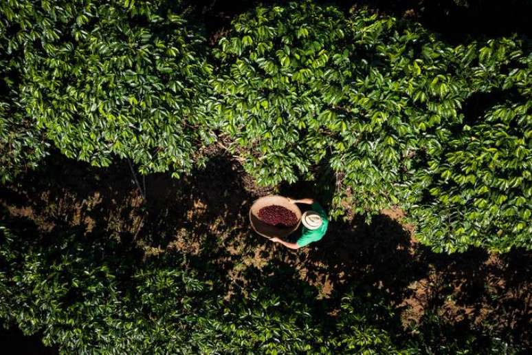 Délcio Klem da Silva, pequenoprodutorde caféespecial do Sítio Serra dos Lopes, em Manhumirim (MG)