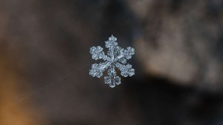 How big can a snowflake get in nature?