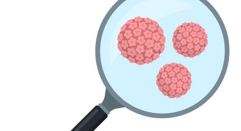 My wife had HPV and cured it;  Is there still a risk of transmission?